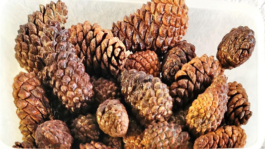 19oz (540g) Assorted small to medium pinecones
